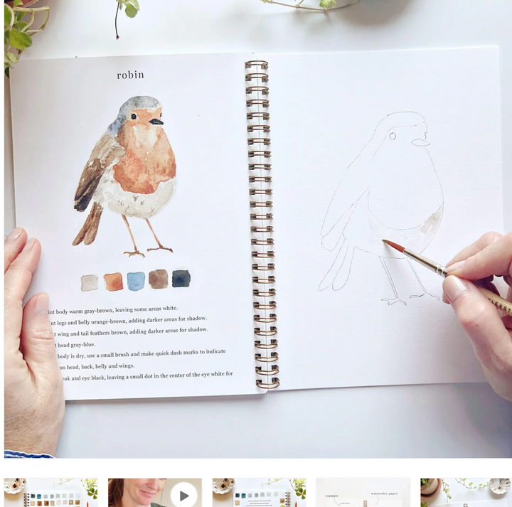 Emily Lex Watercolor Workbook - Birds