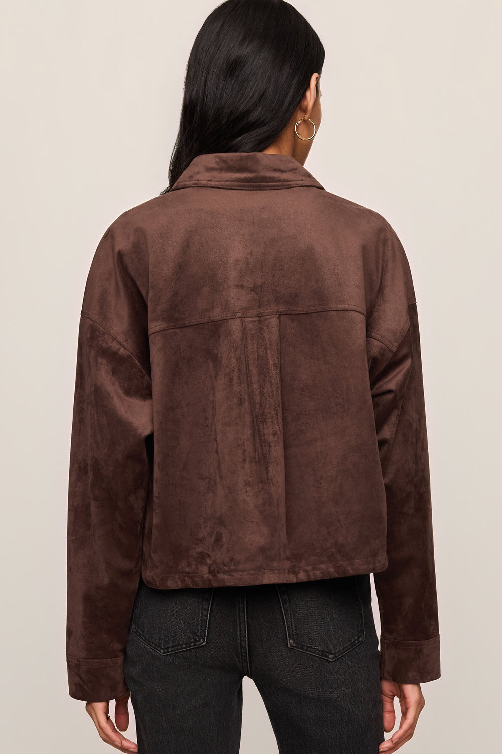 Z Supply All Day Cropped Suede Jacket in Dark Chocolate - back