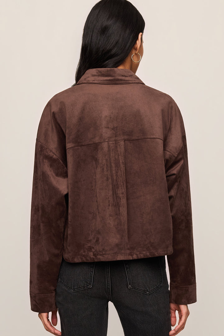 Z Supply All Day Cropped Suede Jacket in Dark Chocolate - back