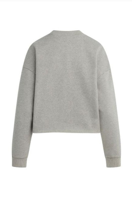 Cropped Collegiate Sweatshirt - Heather Grey/Burgandy
