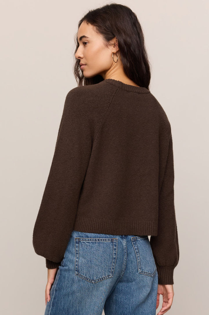 Coming Up Sweater - Dark Chocolate - Back