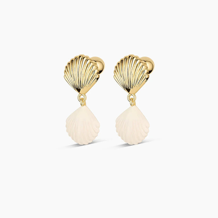 Scallop Earrings