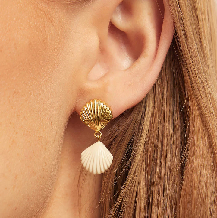 Scallop Earrings