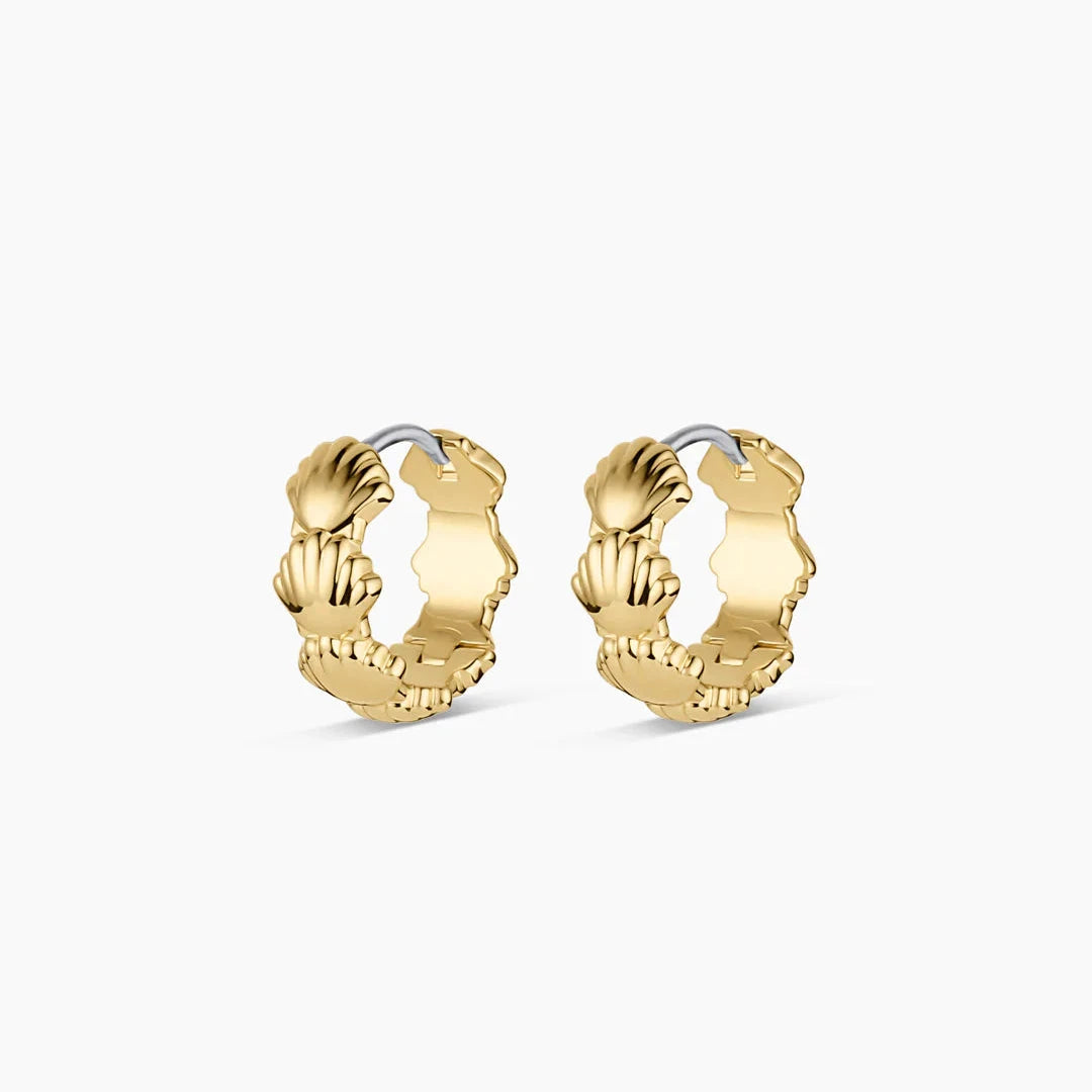 Scallop Mini Huggies - Gold