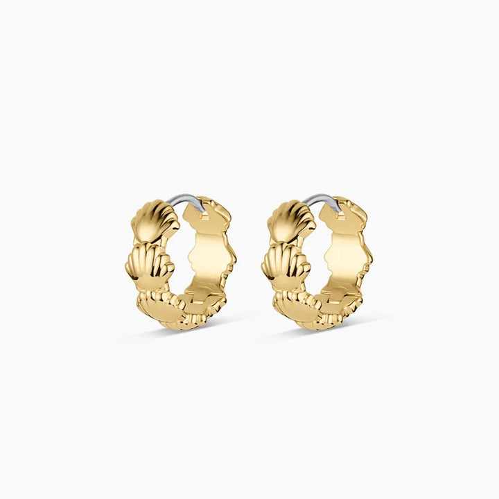 Scallop Mini Huggies - Gold