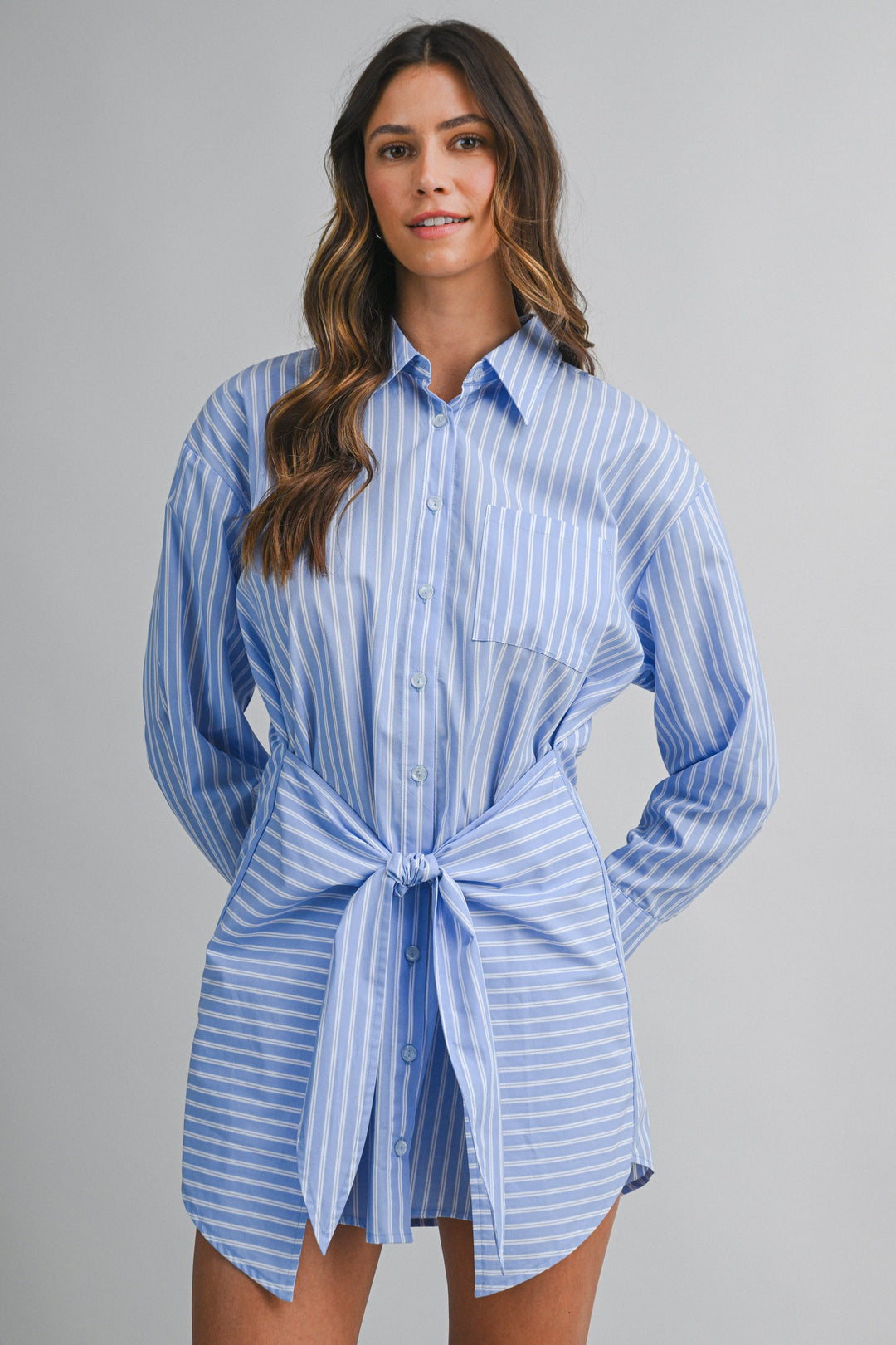 The Harbor Stripe Mini Dress