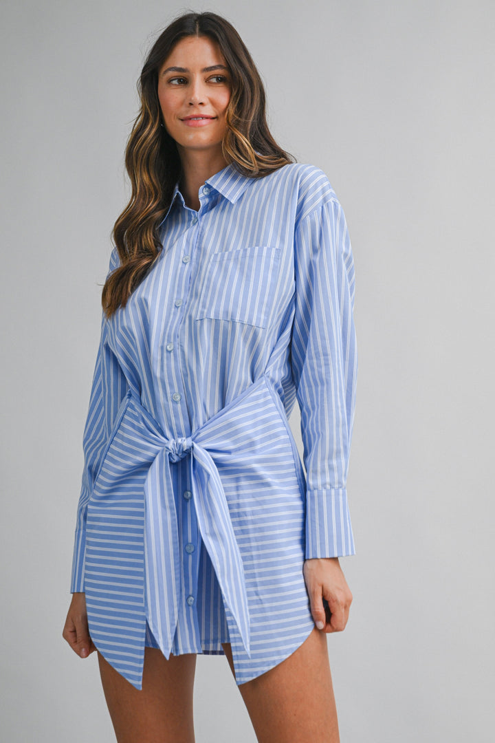 The Harbor Stripe Mini Dress