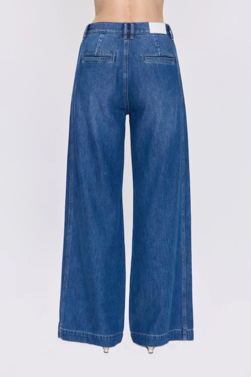 Jadyn Low Slung Palazzo Jean - Imagine